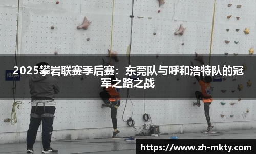 2025攀岩联赛季后赛：东莞队与呼和浩特队的冠军之路之战